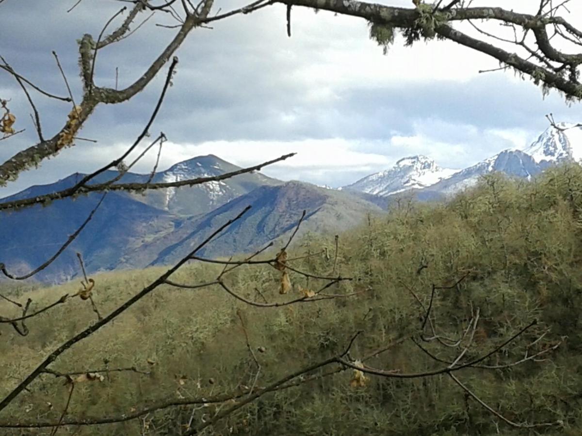 La Casuca Y La Cabana Ojedo Esterno foto